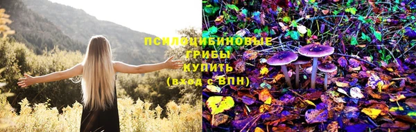прущая мука Зеленодольск