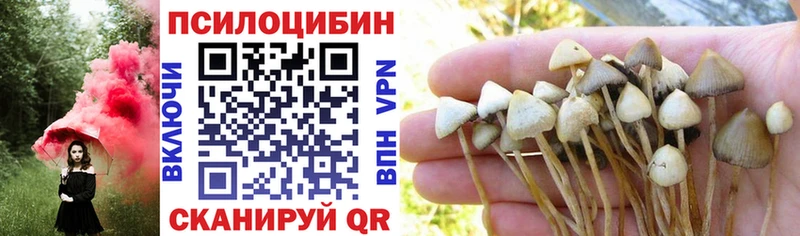 Галлюциногенные грибы MAGIC MUSHROOMS  Купить  Бобров 